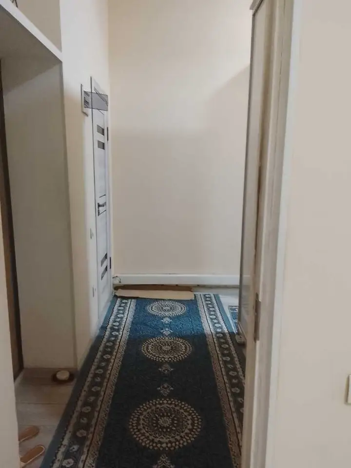 1-комн. квартира, 1 этаж, 45 м², Цирк