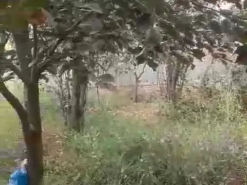 Дом, 1 комн., Сино